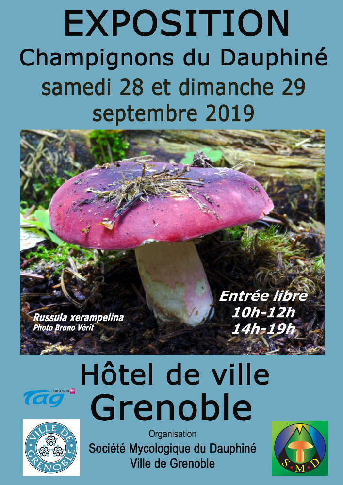 Grande exposition mycologique: Champignons du Dauphiné Grande exposition mycologique: Champignons du Dauphiné
