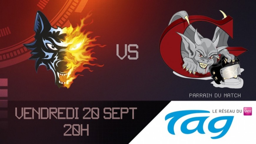 Hockey : Les Brûleurs de loups reçoivent Les gothiques d'Amiens Hockey : Les Brûleurs de loups reçoivent Les gothiques d'Amiens