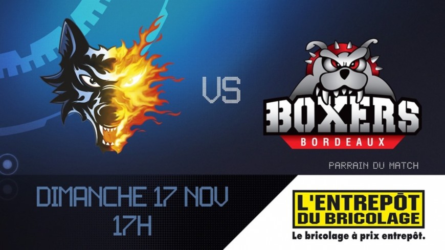 Hockey sur glace : Les Brûleurs de Loups reçoivent Les Boxers de Bordeaux Hockey sur glace : Les Brûleurs de Loups reçoivent Les Boxers de Bordeaux