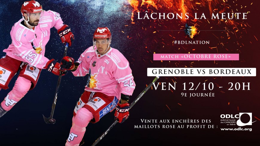Vendredi 12 Octobre 9 ème journée du championnat Synerglace Ligue Magnus Vendredi 12 Octobre 9 ème journée du championnat Synerglace Ligue Magnus