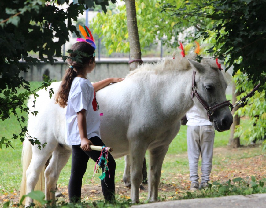 Stage de poneys, artistes en herbe à la Maison Bergès Stage de poneys, artistes en herbe à la Maison Bergès
