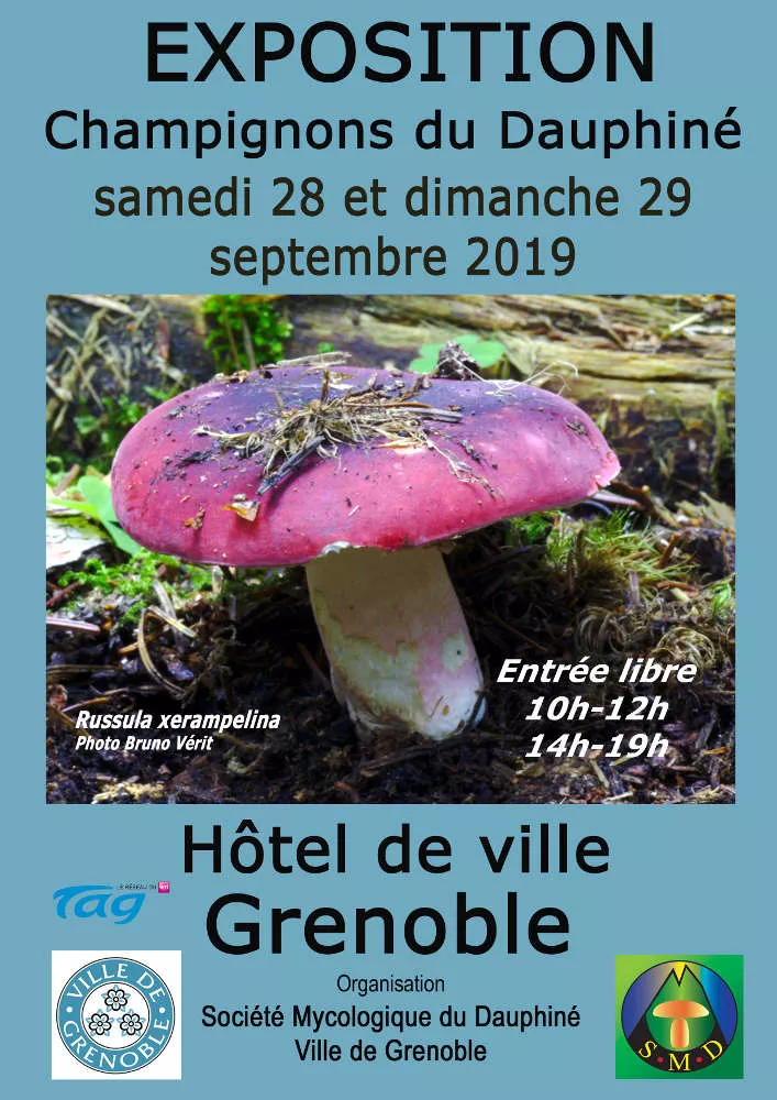 Grande exposition mycologique: Champignons du Dauphiné