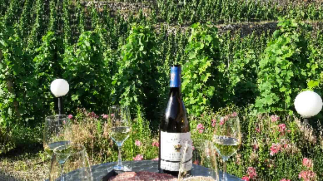 Les Rendez Wine de Condrieu et de Côte-Rôtie, de juin à octobre chez les vignerons