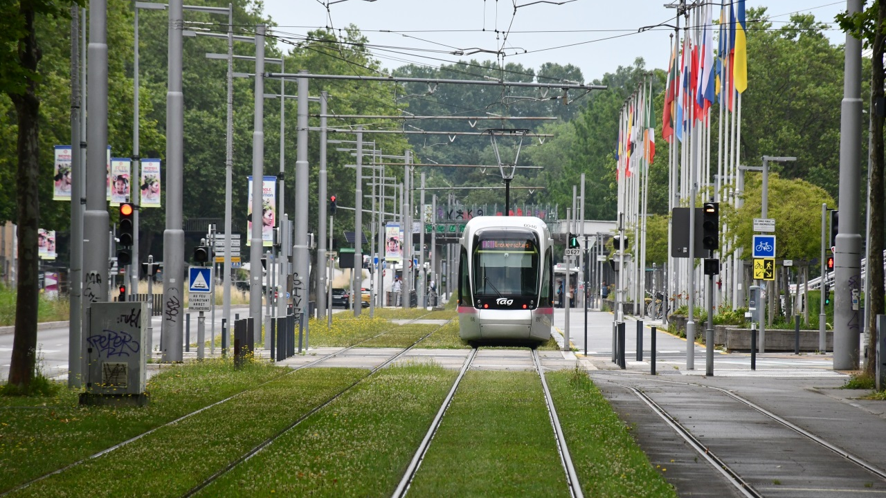 Violent Tram Door Brawl Leaves One Man Hospitalized