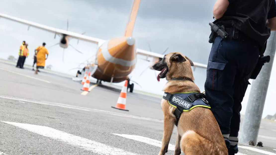 Depuis Grenoble, ils pilotaient un réseau de trafic de faux documents entre la France et la Turquie