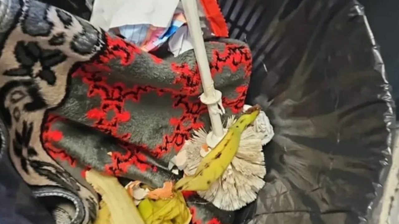 Un tapis de pri&egrave;re jet&eacute; &agrave; la poubelle : la CGT M'Tag d&eacute;nonce une "atteinte &agrave; la dignit&eacute; des agents"