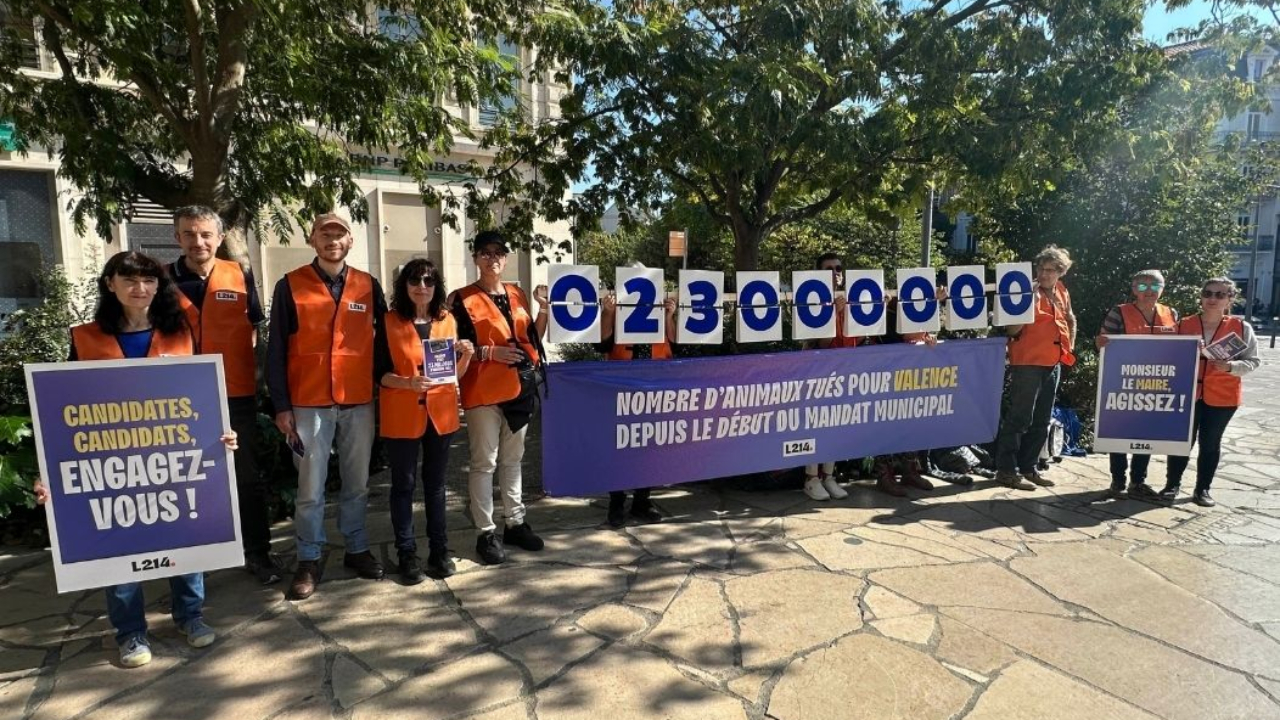 Grenoble : une action de L214 pour forcer les candidats à se positionner sur l’alimentation Grenoble : une action de L214 pour forcer les candidats à se positionner sur l’alimentation