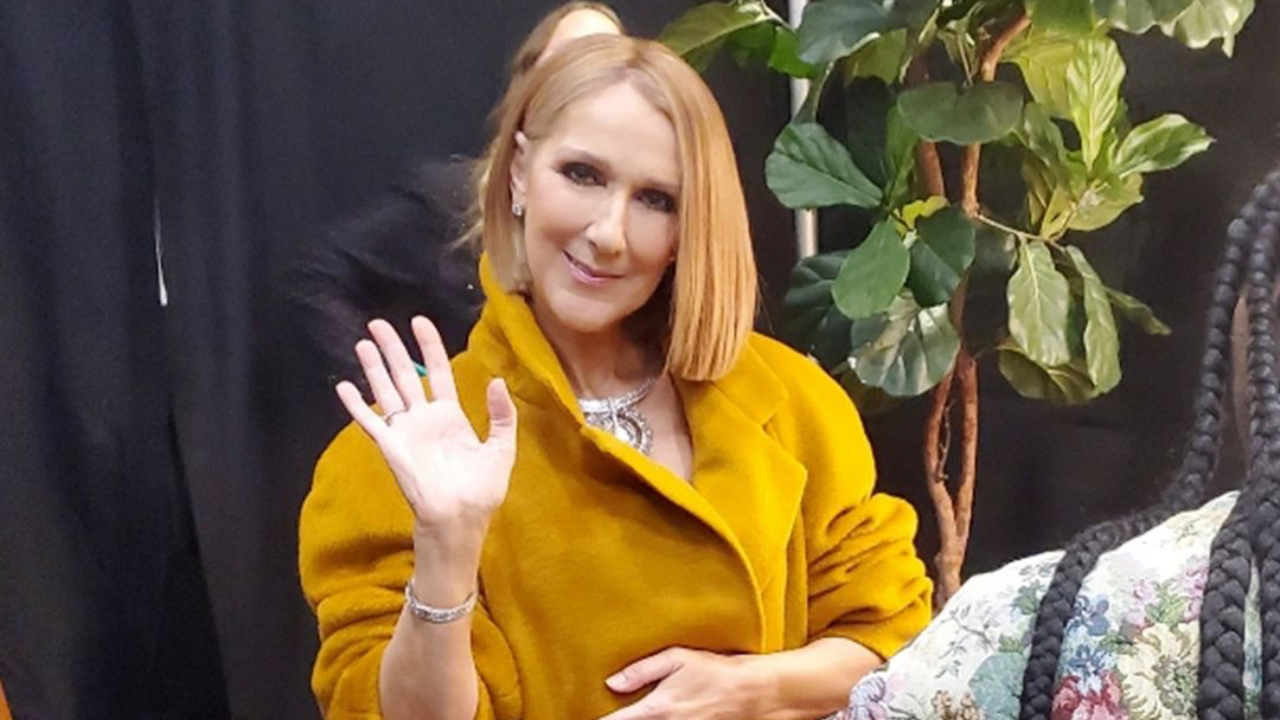 Céline Dion : son combat contre la maladie débarque sur Prime Video