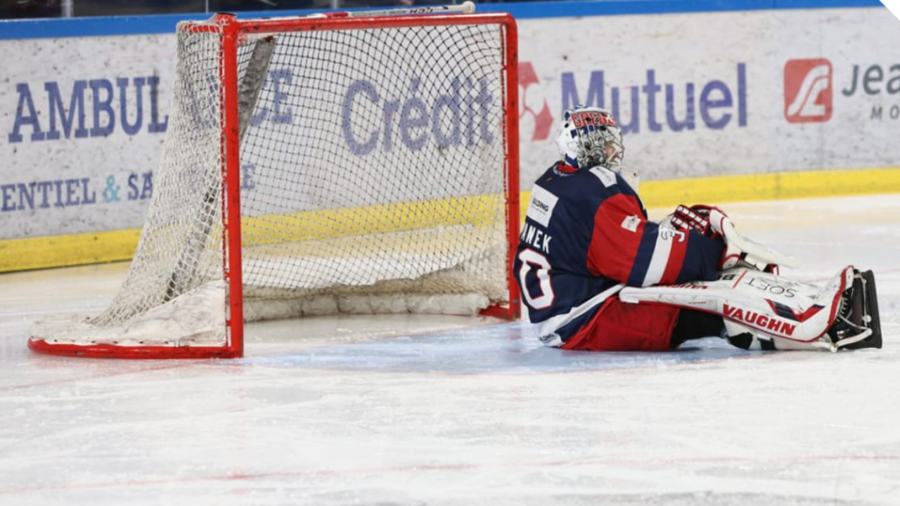 Grenoble : les Brûleurs de Loups perdent contre les Dragons de Rouen