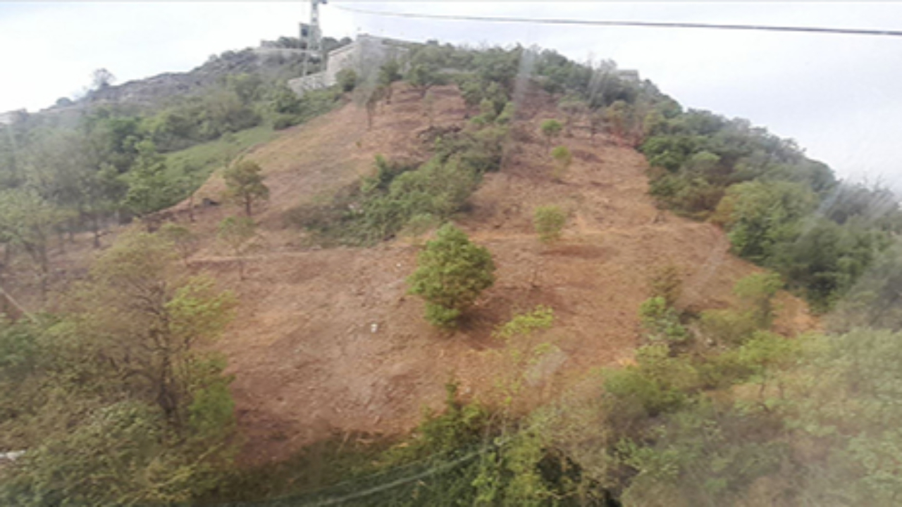 Grenoble : près de deux hectares débroussaillés trop massivement à la Bastille ?