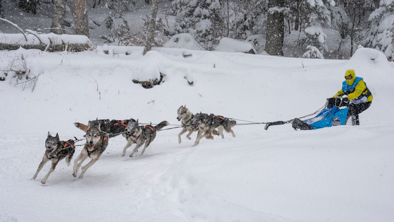 La Grande Odyss&eacute;e se termine ce jeudi &agrave; Villard-de-Lans