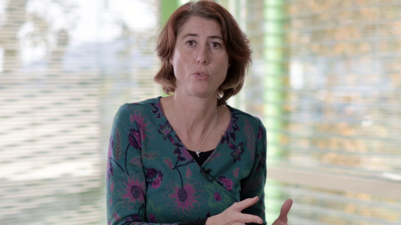 Safran : la sortie de Laurence Ruffin crispe la gauche &agrave; Grenoble