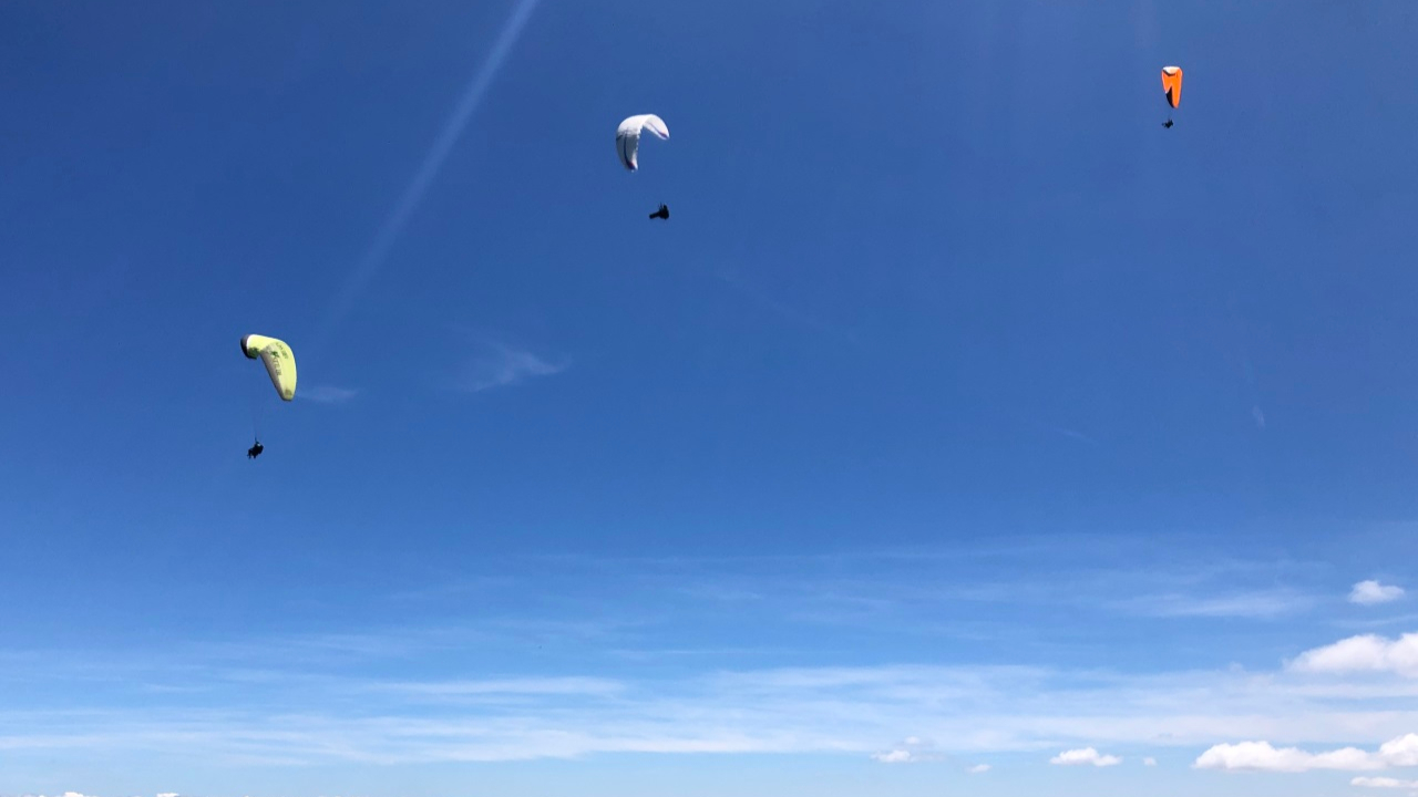Vercors : plainte de la LPO contre les parapentistes qui dérangent les aigles royaux Vercors : plainte de la LPO contre les parapentistes qui dérangent les aigles royaux