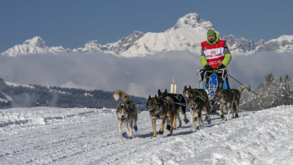 Grande Odyss&eacute;e 2026 : tout savoir sur l&rsquo;aventure nordique et canine au c&oelig;ur des Alpes