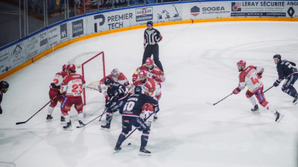 Coupe de France : les Brûleurs de Loups s'inclinent en finale Coupe de France : les Brûleurs de Loups s'inclinent en finale