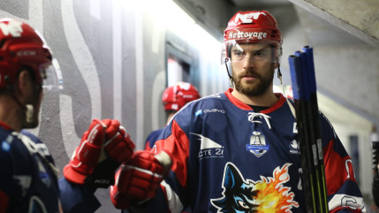 Dans la douleur, les Brûleurs de Loups arrachent leur ticket pour les demi-finales !