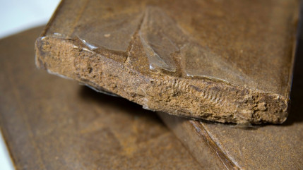 Echirolles : 1,6 kilo de résine de cannabis saisi