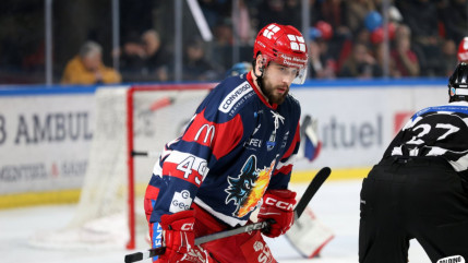 Grenoble : les Brûleurs de Loups affronteront Amiens en demi-finale de Ligue Magnus Grenoble : les Brûleurs de Loups affronteront Amiens en demi-finale de Ligue Magnus
