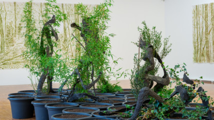 Grenoble : les musées seront bientôt gratuits Grenoble : les musées seront bientôt gratuits