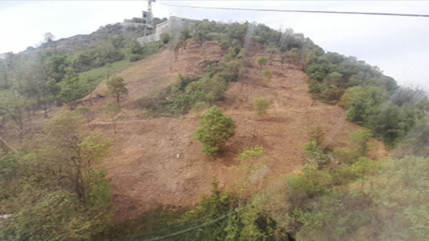 Grenoble : près de deux hectares débroussaillés trop massivement à la Bastille ?