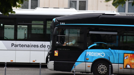 Grenoble : un chauffeur de bus testé positif au cannabis Grenoble : un chauffeur de bus testé positif au cannabis