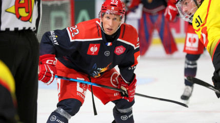 Hockey sur glace : les Brûleurs de Loups s’inclinent dès leur entrée en lice en Ligue des champions