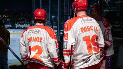 Jokers-Brûleurs de Loups : encore une énorme victoire des Grenoblois (1-7)