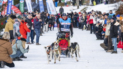 La Grande Odyssée devient "La Grande Odyssée Royal Canin" : un nouveau nom pour l’édition 2026