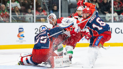 Les Brûleurs de Loups s’inclinent en finale de la Continental Cup face à Cardiff