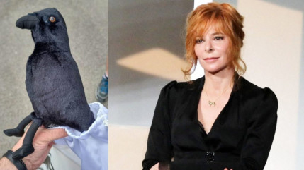 Mylène Farmer : ses fans révoltés par une poupée ! Mylène Farmer : ses fans révoltés par une poupée !