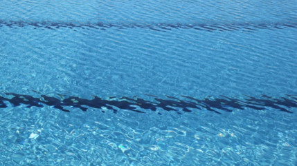 Piscine Jean Bron : la mairie de Grenoble évoque une "saison exceptionnelle" Piscine Jean Bron : la mairie de Grenoble évoque une "saison exceptionnelle"