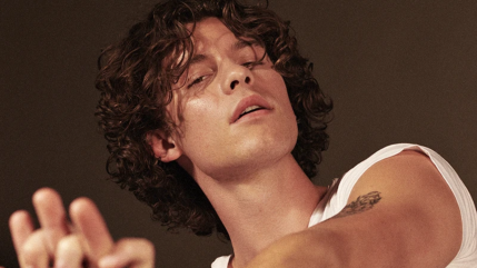 Shawn Mendes : il est jugé irresponsable par ses fans