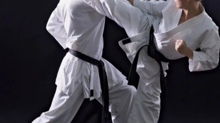 Soupçons de détournement de fonds au comité de karaté de l'Isère Soupçons de détournement de fonds au comité de karaté de l'Isère