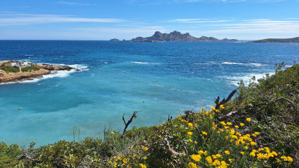 Un habitant de Saint-Egrève meurt après une chute dans la mer près de Marseille Un habitant de Saint-Egrève meurt après une chute dans la mer près de Marseille